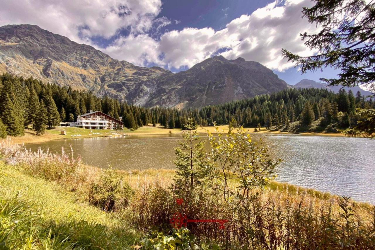 Chalet 5 Stars In San Bernardino, Ski Slopes And Hiking, Fireplace, 4 Snowtubes Free, Wi-Fi Free, For 8 Persons, Wonderful In All Seasons -By Easylife Swiss Экстерьер фото